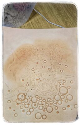 554688621_10234120656290777_8173652304187411783_n