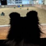 Profile photo of Tina