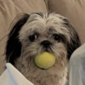 Profile photo of mayorblurps