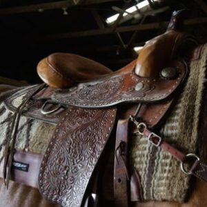 Group logo of Saddles, Harness, & Tack