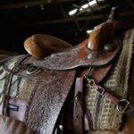 Group logo of Saddles, Harness, & Tack